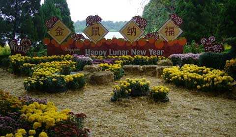 Chinese New Year at the zoo