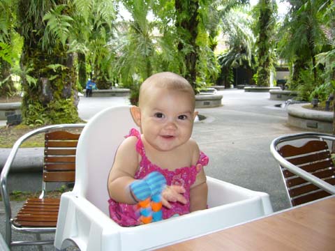 Coffee and Cake at Botanical Gardens