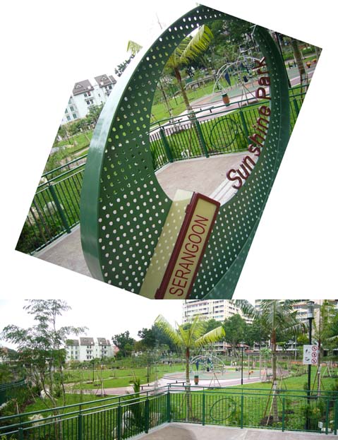 The Park Across the Road