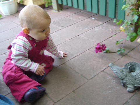 In Nana Ann's Garden