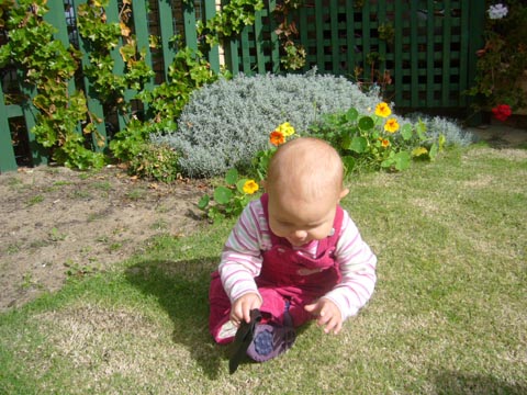 Going for a walk in Nana Ann's Garden