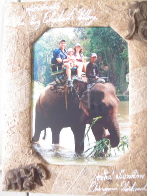 Elephant ride